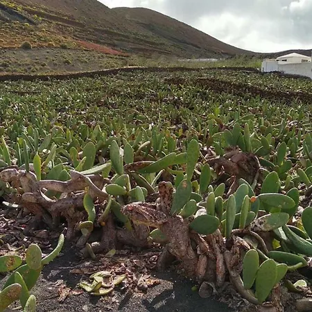 Vakantiehuis Bayside Kalendra Jable Encuentra Paz En La Naturaleza Salvaje Guatiza